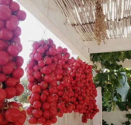 La Torretta Alojamento de Acomodação e Pequeno-almoço