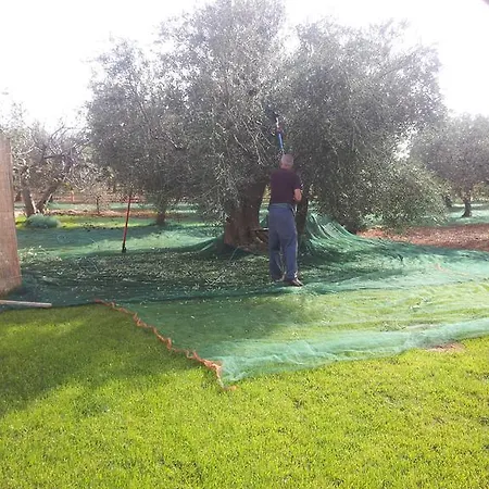 Oda ve Kahvaltı La Torretta B&B