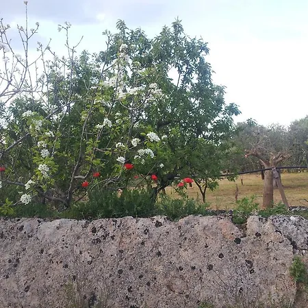 La Torretta Bed & Breakfast 3*