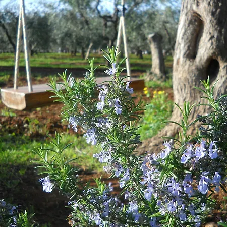 Oda ve Kahvaltı La Torretta B&B